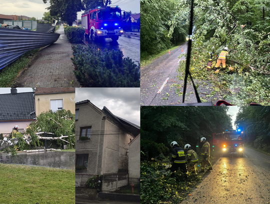 Strażacy usuwają powalone drzewo z drogi po burzy w powiecie krapkowickim, w tle wóz strażacki OSP