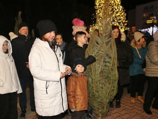 Zdobądź choinkę z „Tygodnikiem Krapkowickim”!