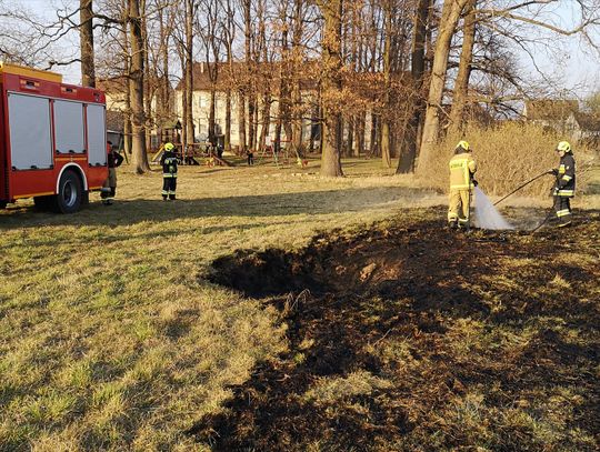 Znów paliło się w Gogolinie! W pobliżu ognia były domy