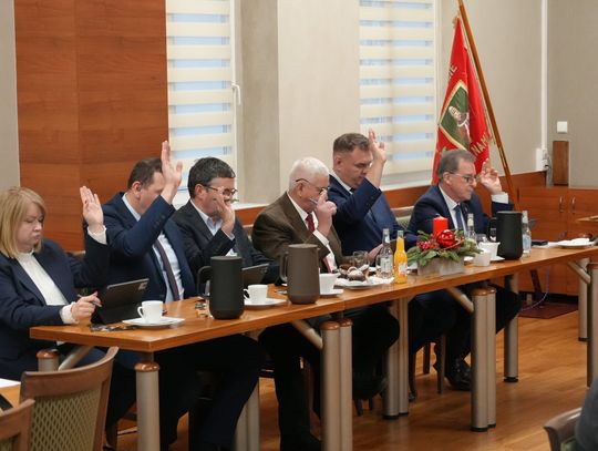 Wolno żyjący kot objęty opieką weterynaryjną w ramach programu opieki nad zwierzętami w gminie Gogolin