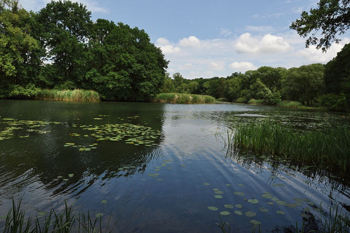 Co to właściwie Obszar Natura 2000?