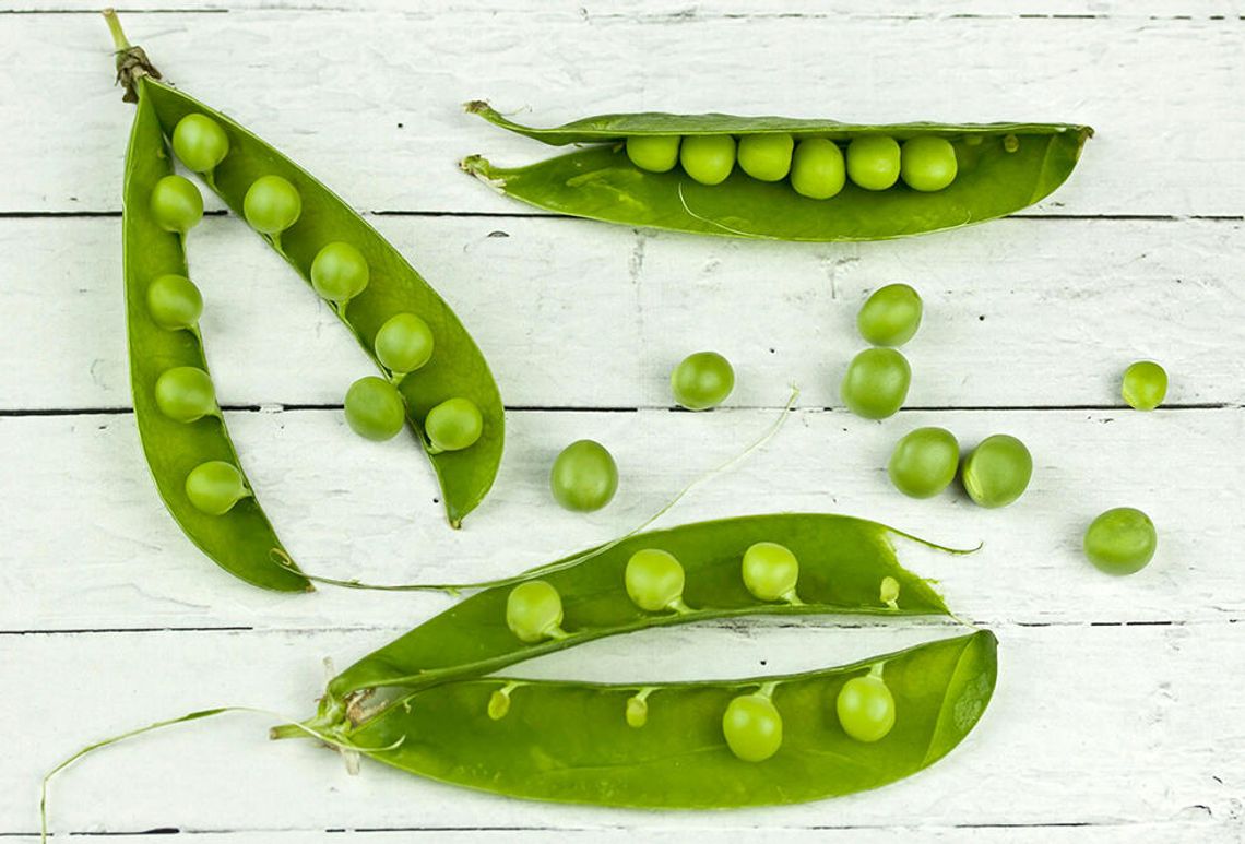 Czy fasola to superfood?