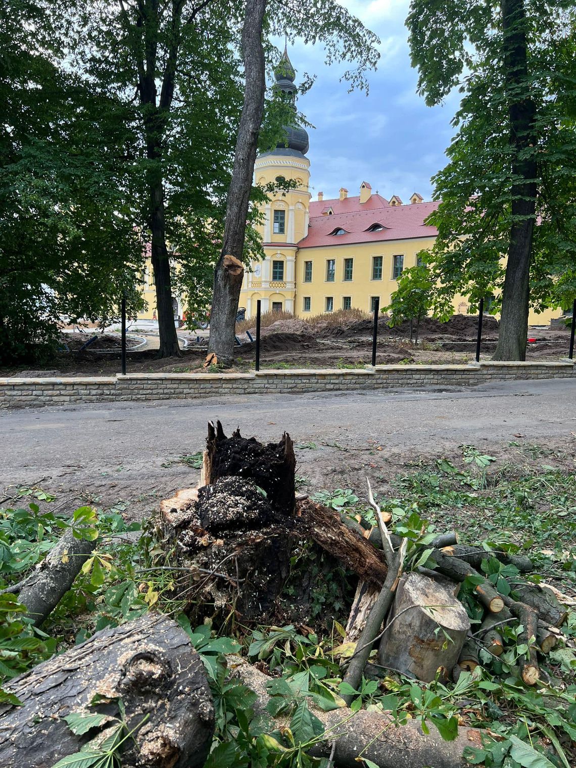 Dla bezpieczeństwa wycięli drzewa