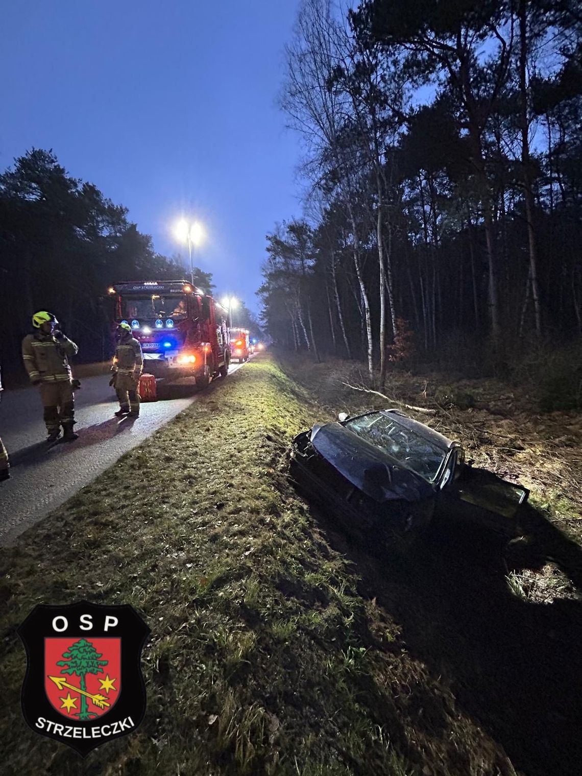 Straż pożarna i policja na miejscu zderzenia samochodu z dziką zwierzyną na DW 414
