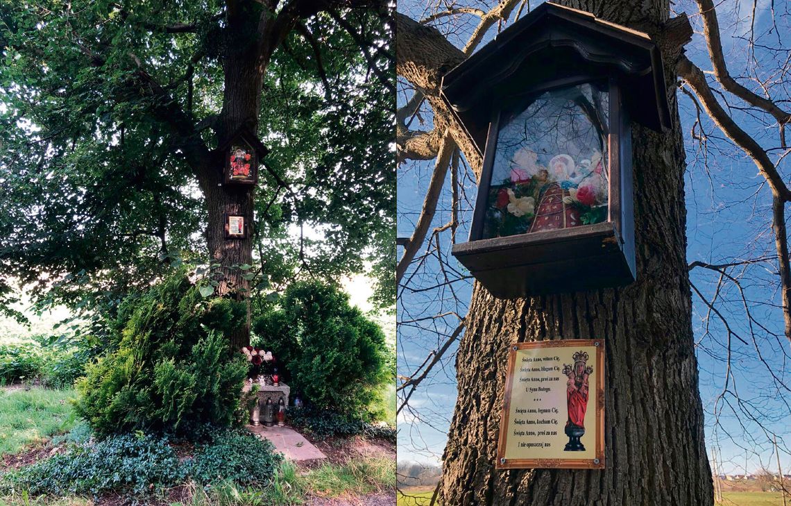 Ja sobie wybrałem za obronę, babkę Chrysta Pana… Ja sobie wybrałem za obronę, babkę Chrysta Pana…