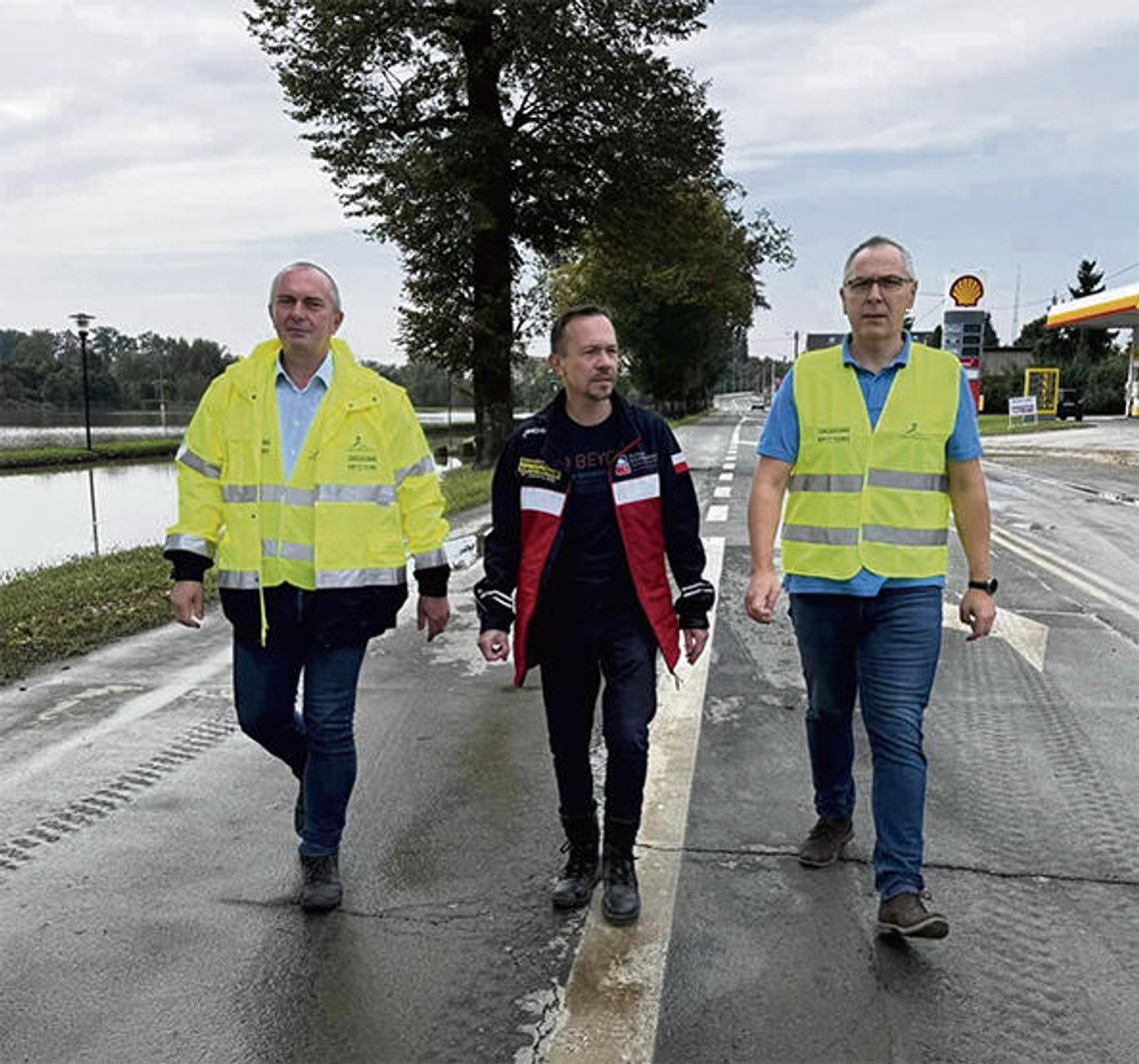 Jednak potrafią współpracować