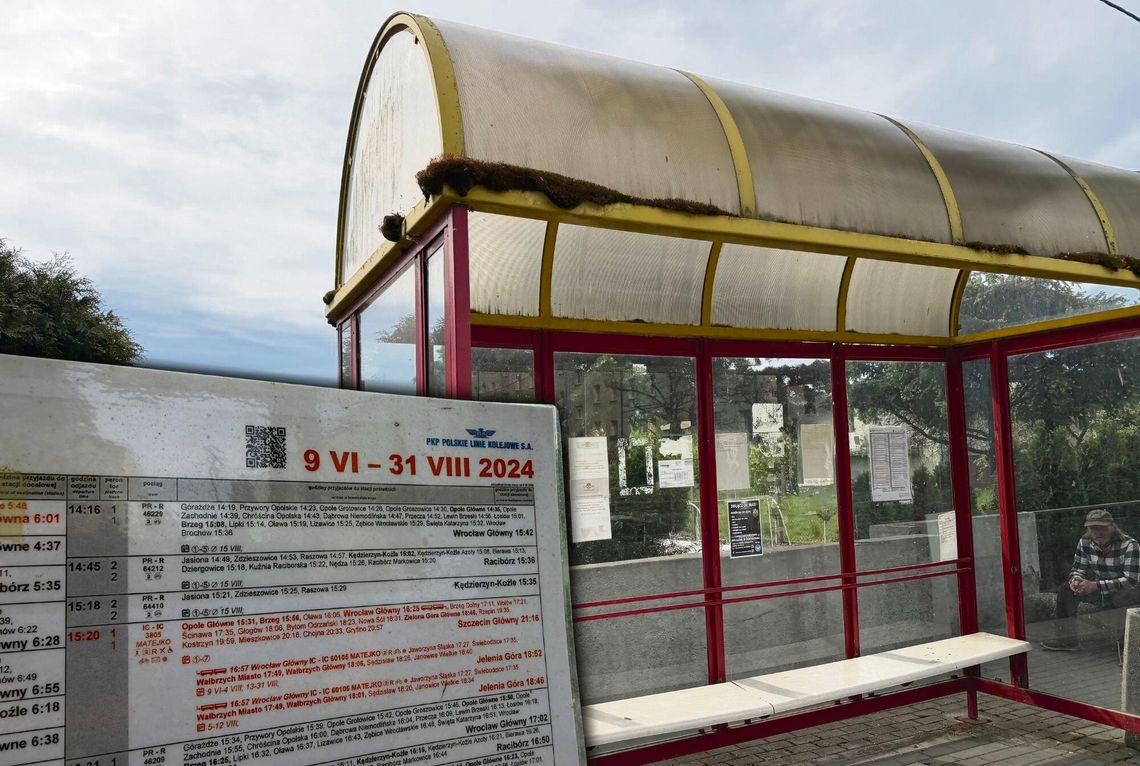 Przystanek autobusowy na osiedlu 1000-lecia w Krapkowicach z wieloma rozkładami jazdy różnych przewoźników