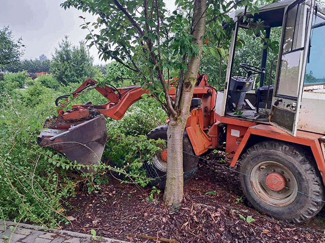 Koparką przez ogrodzenie i drzewka