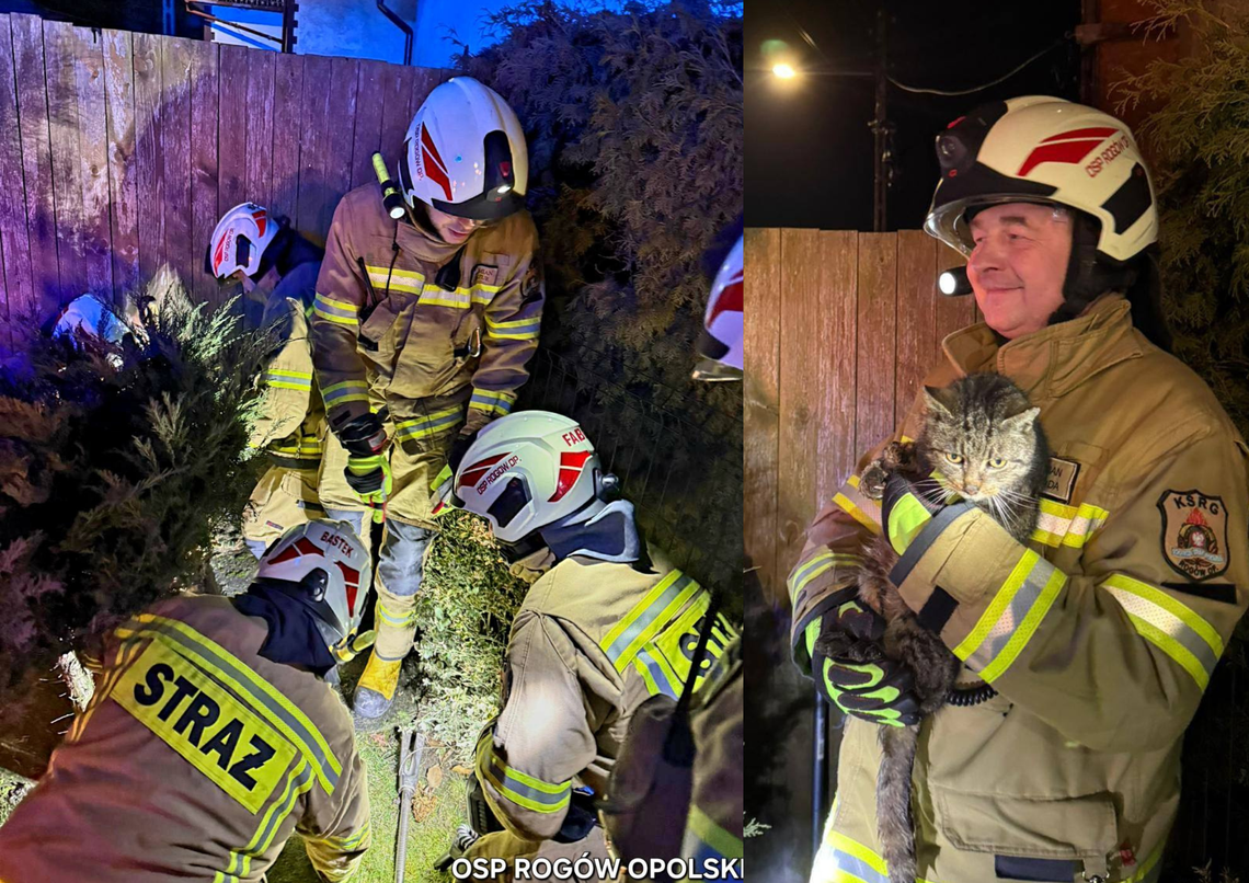 Strażacy OSP KSRG Rogów Opolski podczas akcji ratowania kota ze studzienki burzowej