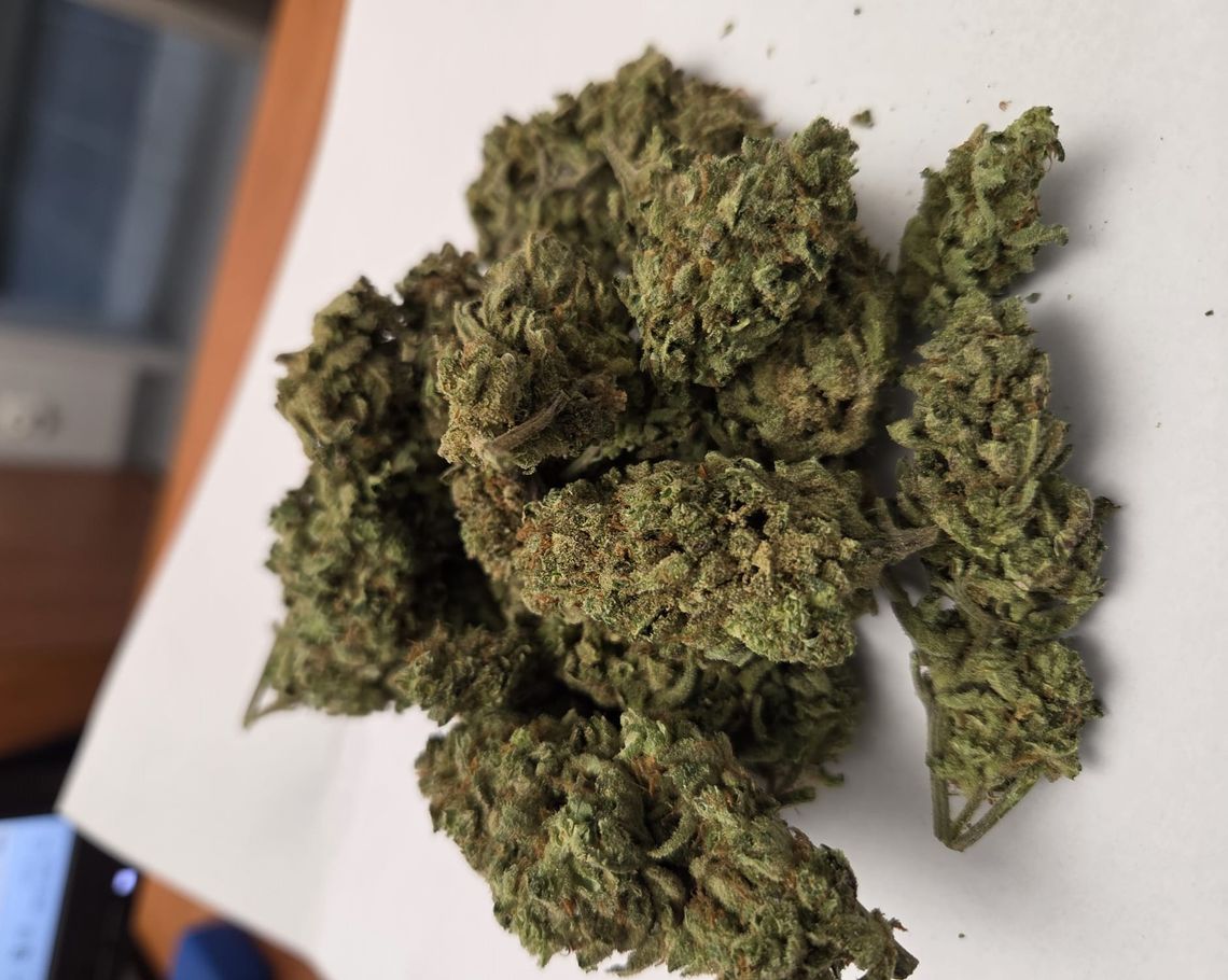 Policjanci z Krapkowic zabezpieczyli narkotyki podczas kontroli samochodu i przeszukania mieszkań