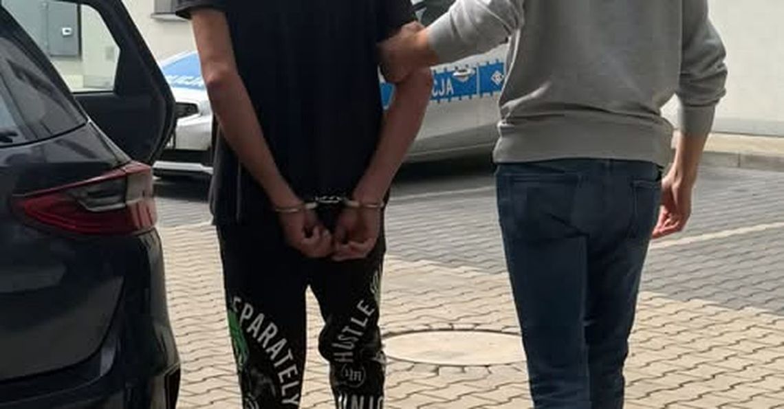 Na zdjęciu patrol policji zatrzymujący kierowcę audi w gminie Krapkowice