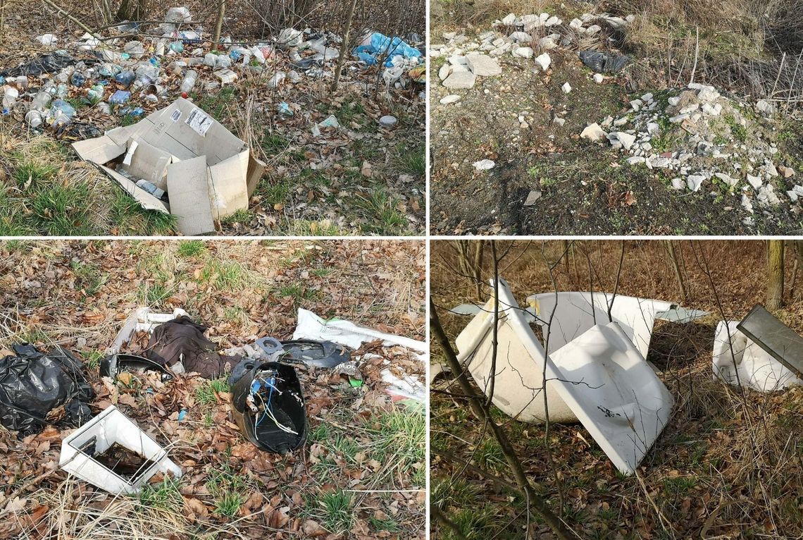 „Ktoś tu regularnie wyrzuca śmieci” - Mieszkańcy alarmują o nielegalnym wyrzucaniu śmieci mimo bliskości PSZOK-u Nielegalnie porzucone odpady wśród drzew i krzewów w Krapkowicach przy ulicy Limanowskiego.