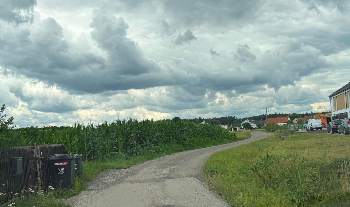 Mieszkańcy skarżą się na stan drogi w Gwoździcach Ulica Łąkowa w Gwoździcach z ubytkami w nawierzchni szutrowej i wymagającymi naprawy poboczami