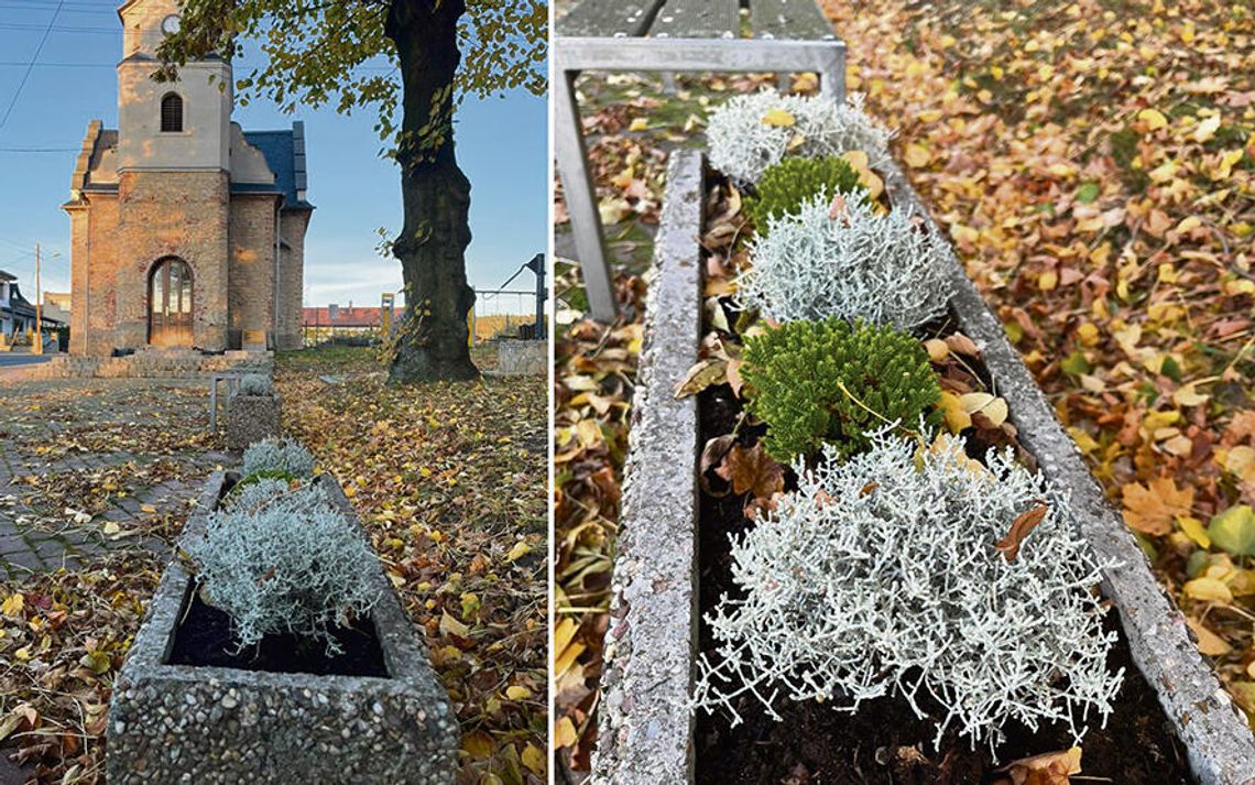 Mieszkańcy wspólnie dbają o piękno miejscowości Mieszkańcy wspólnie dbają o piękno miejscowości