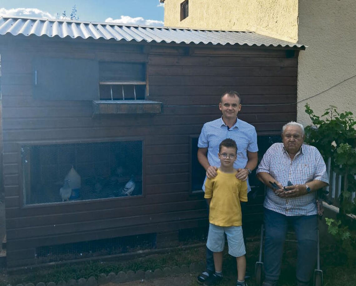 Młode gołębie pocztowe wystartowały
