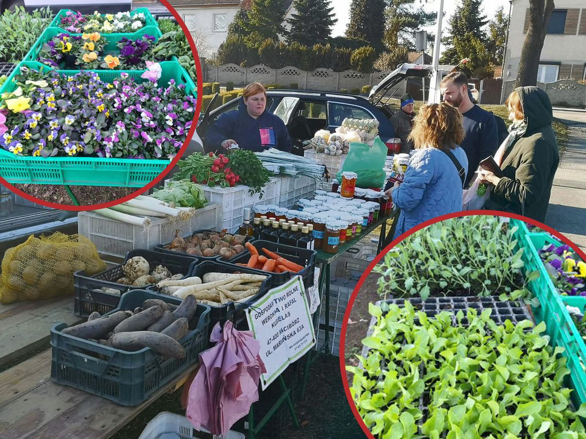 Na Placu Eichendorffa zapachnie wiosną i regionalnymi smakami