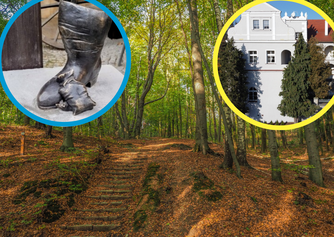 Najlepsze miejsca na spacer w powiecie krapkowickim i bliskiej okolicy Malownicza ścieżka spacerowa w Parku Krajobrazowym Góra Świętej Anny w powiecie krapkowickim