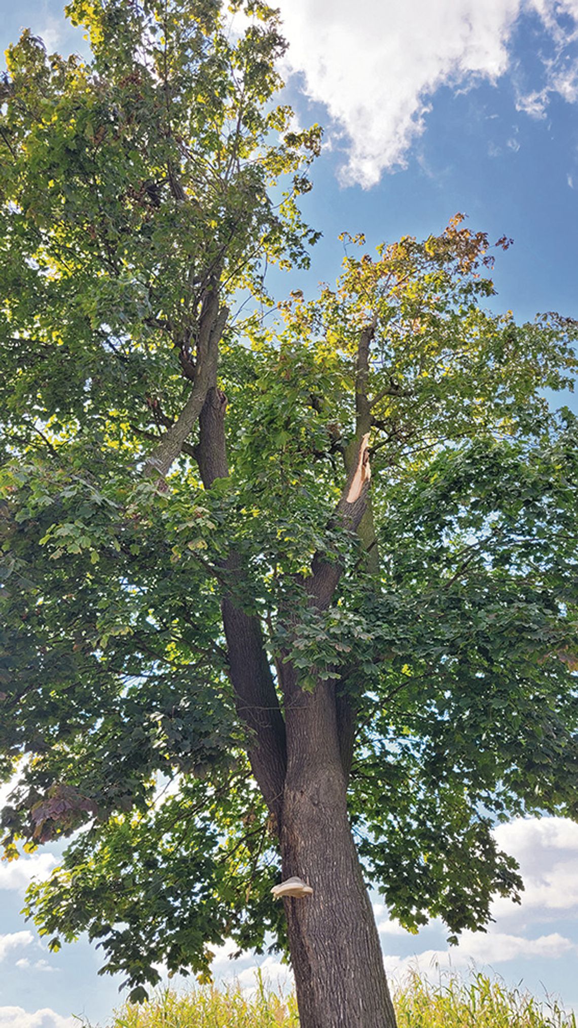 Niebezpieczeństwo wisi  w powietrzu