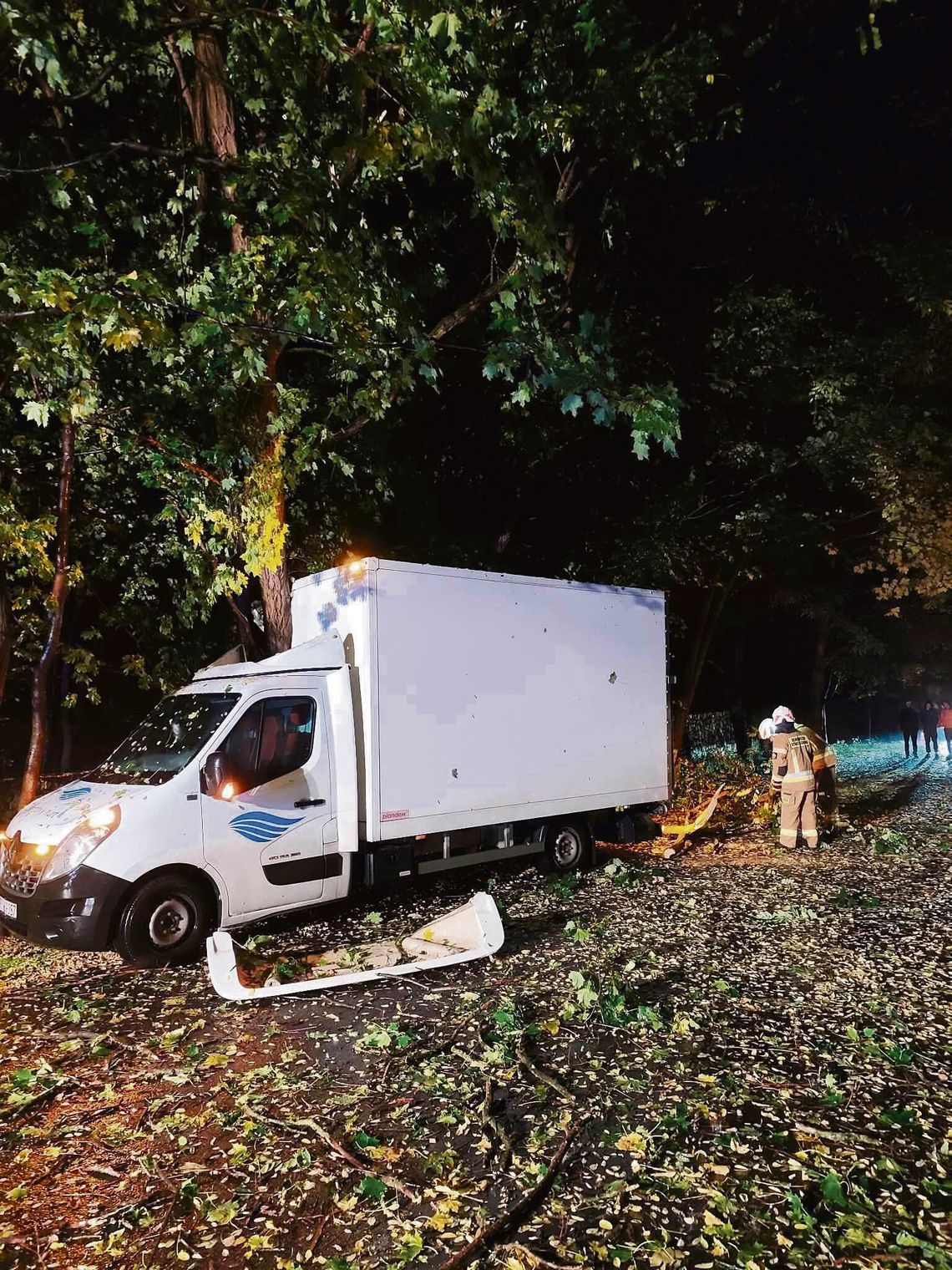 Niebezpieczne zdarzenia w powiecie krapkowickim. Drzewo spadło na dostawczaka, strażacy ruszyli do akcji Strażacy z powiatu krapkowickiego podczas interwencji związanych z powalonymi drzewami i niebezpiecznymi zdarzeniami w regionie