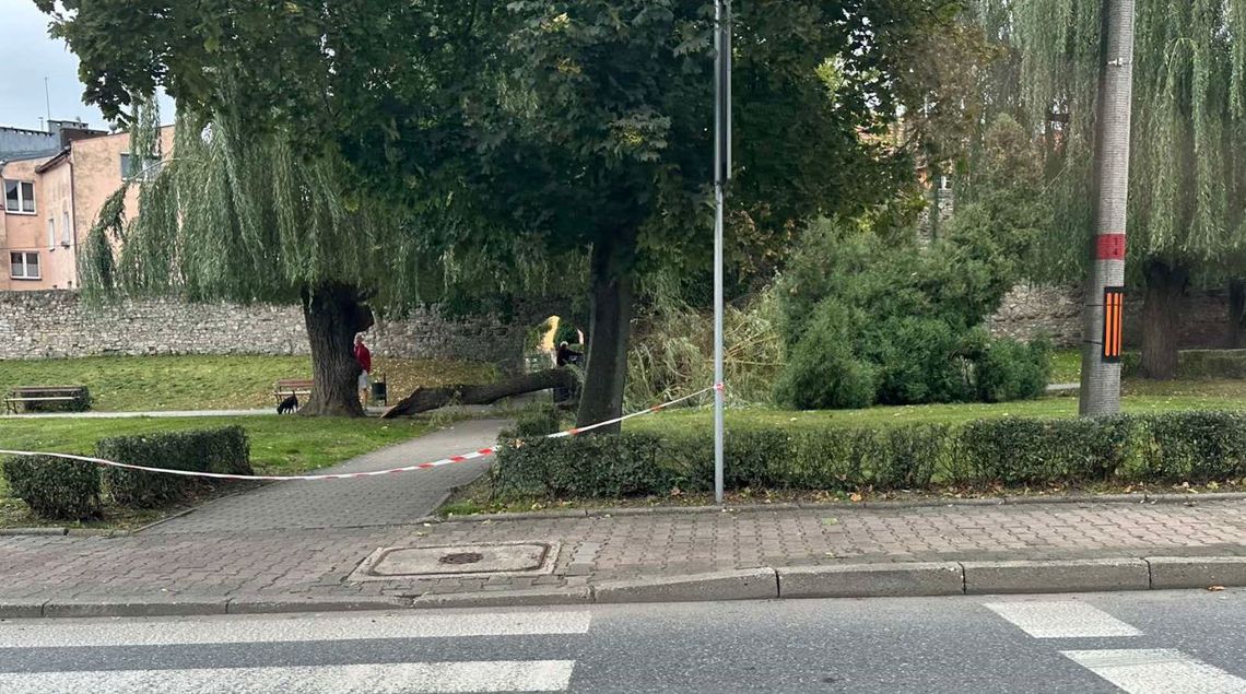 Niebezpieczne zdarzenie nieopodal murów obronnych w centrum miasta