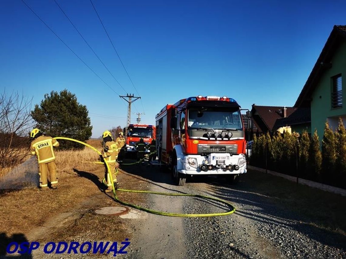 Pożar trawy blisko budynków mieszkalnych