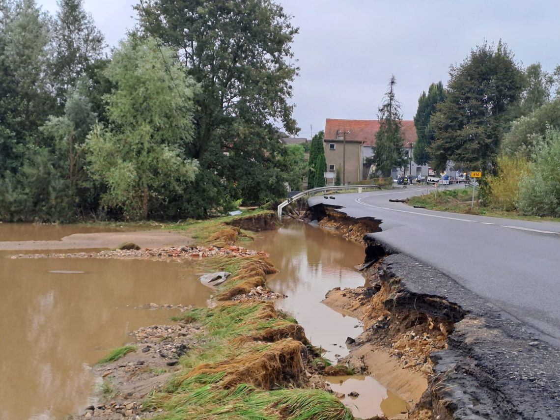 Priorytetem są m.in. Żywocice