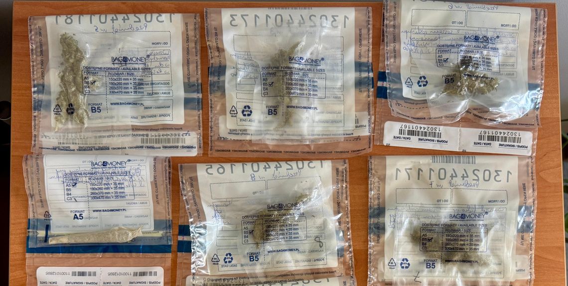 Przyjechali do awantury domowej. 33-latek powiedział policjantom, co zażył. Miał przy sobie narkotyki Policjanci podczas interwencji związanej z posiadaniem narkotyków w gminie Strzeleczki