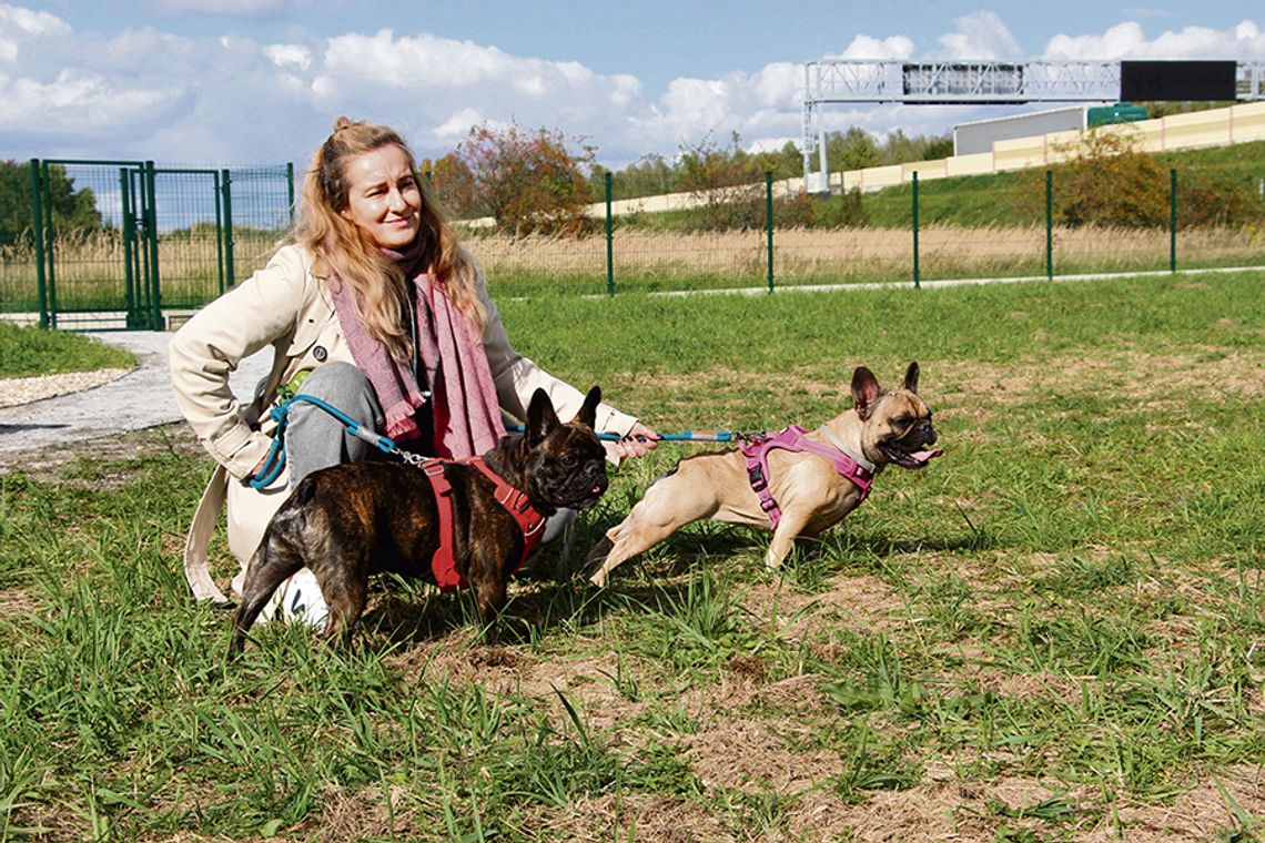 Psi park już dostępny