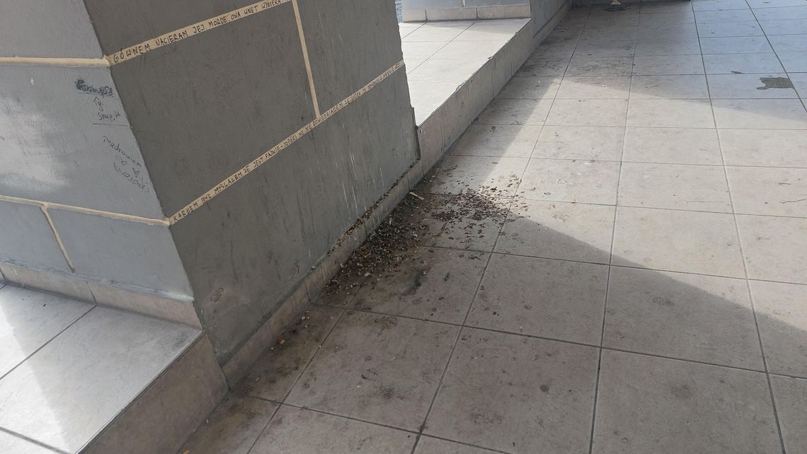 Zabrudzone arkady przy ul. Podgórnej w Krapkowicach z widocznymi ptasimi odchodami