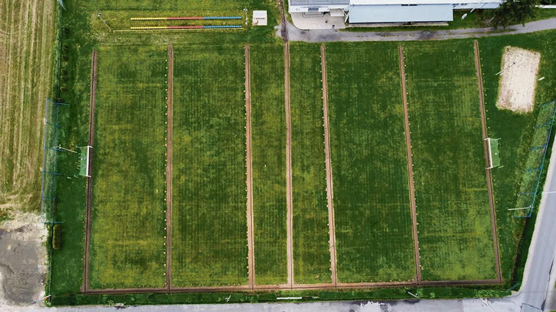 Rąk do pracy nie brakowało