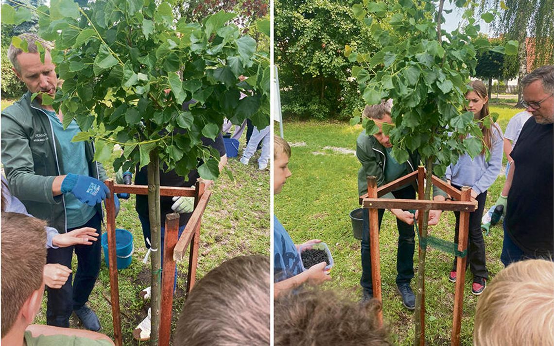 Sadzą drzewa i dbają o środowisko
