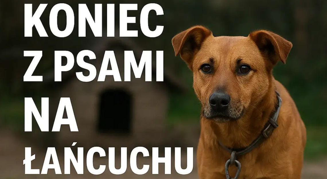 Sejm ponownie za „uwolnieniem” psów. Nowe przepisy obejmą także koty