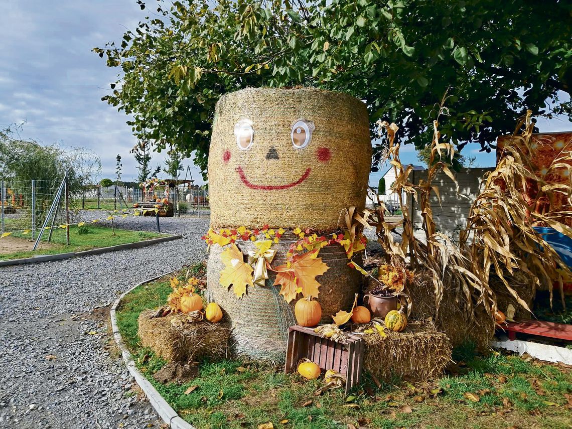 Jesienna aranżacja w Mini Zoo w Żużeli z setkami dyń, dekoracyjną karocą i ponadstuletnim wozem na drewnianych kołach.