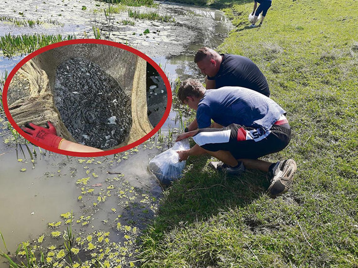 “Stara Odra” w Straduni ma nowych mieszkańców