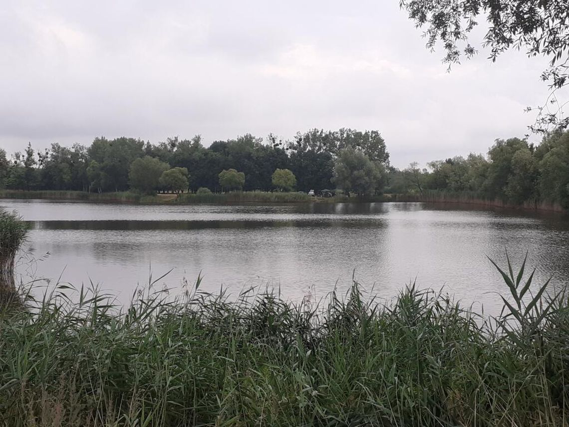 Strażnicy miejscy z Krapkowic podczas kontroli akwenów wodnych w miejscach objętych zakazem kąpieli.