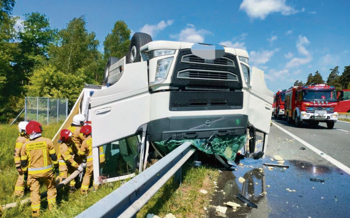 Świnie na A4