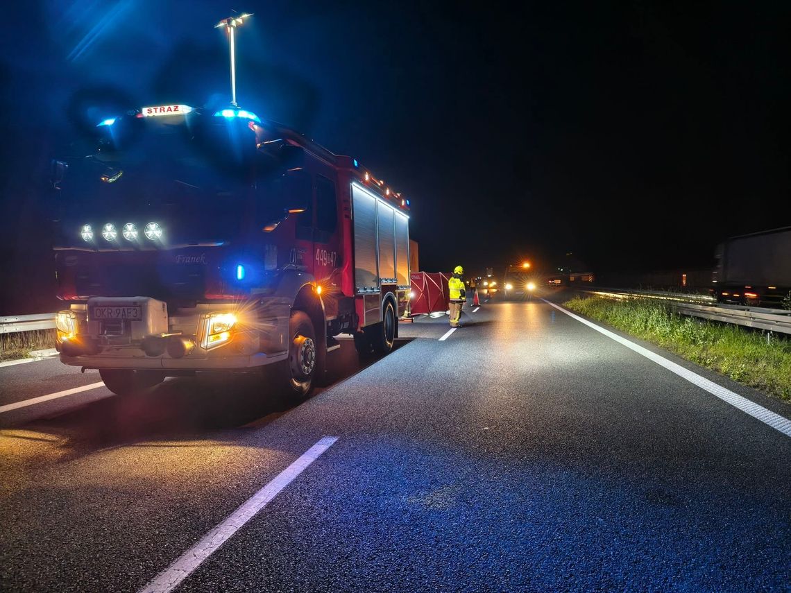 Tragedia na autostradzie A4. Prokuratura prosi o pomoc w ustaleniu sprawcy Miejsce śmiertelnego potrącenia na autostradzie A4 w okolicach węzła Gogolin, działania służb
