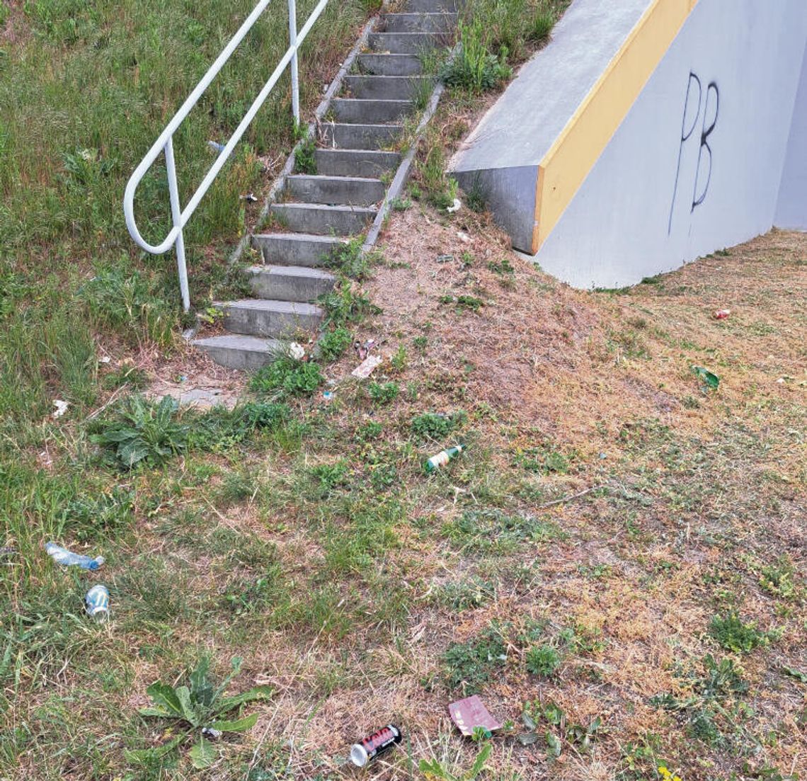 Trawa skoszona, ale…