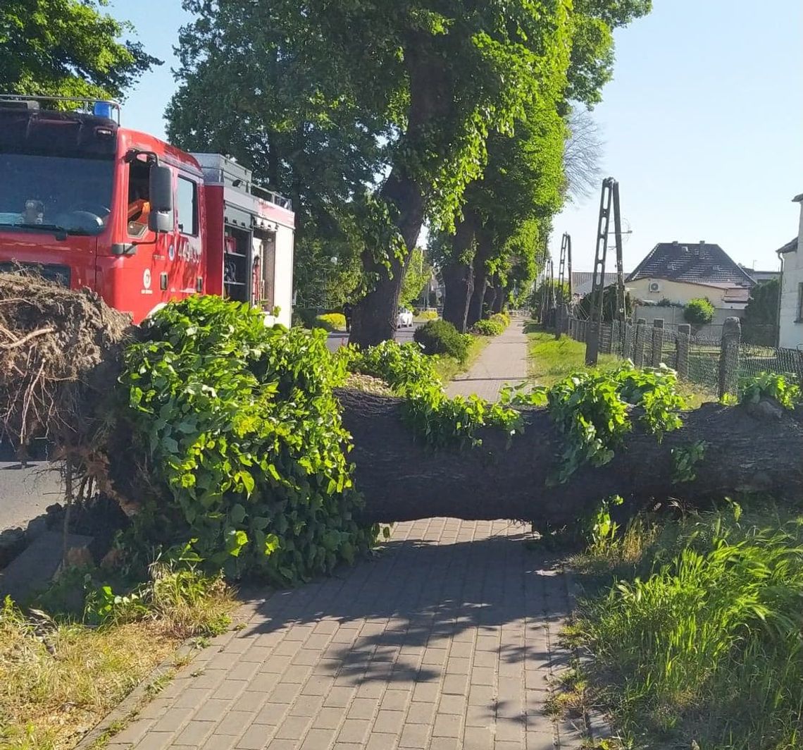 Uwięzieni w barze