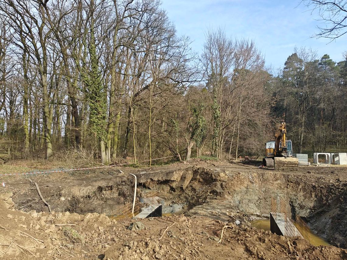 Prace rozbiórkowe starego przepustu na starorzeczu Odry w lesie między Odrowążem a Otmętem