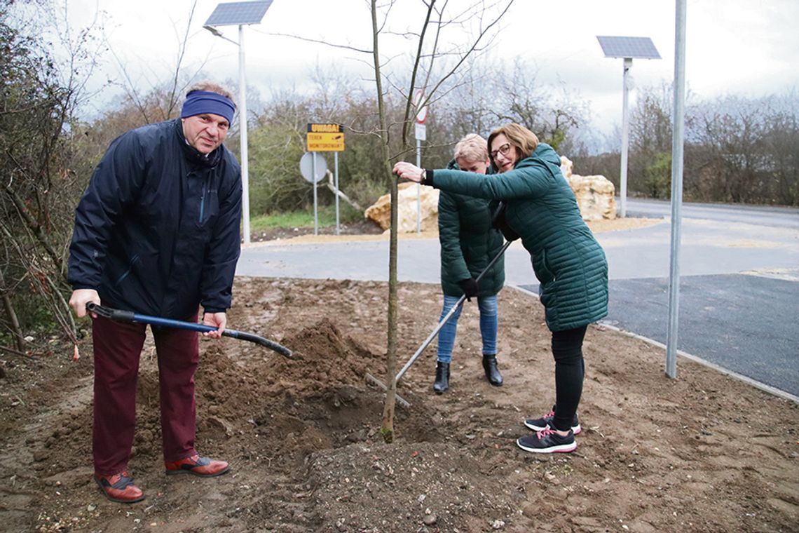 Wielkie sadzenie już trwa