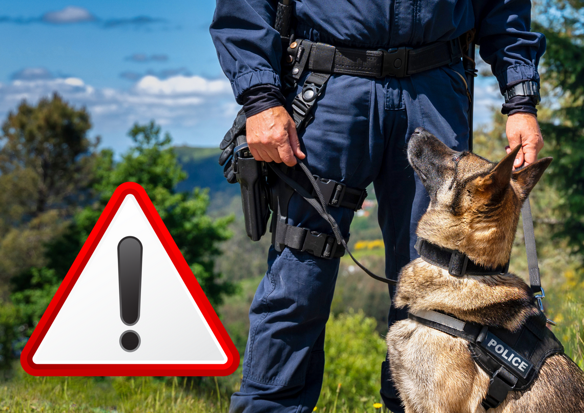 Wpadł po miesiącach ukrywania się! 31-latek ze Strzeleczek zatrzymany przez krapkowickich policjantów Krapkowiccy policjanci zatrzymali poszukiwanego 31-latka w Racławiczkach – akcja Wydziału Kryminalnego KPP Krapkowice