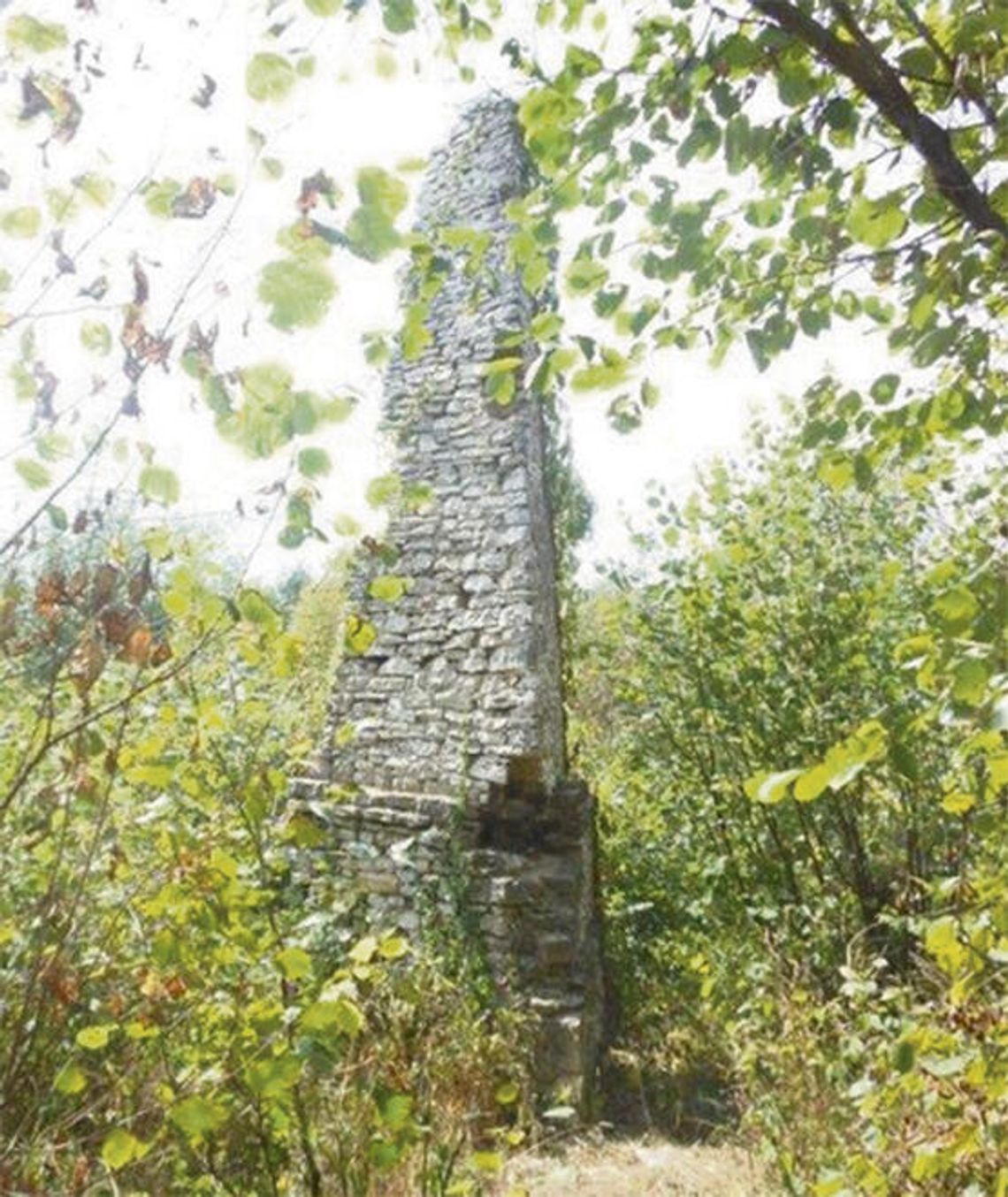 Zakrzowska szpica będzie rezerwatem? Zakrzowska szpica będzie rezerwatem?