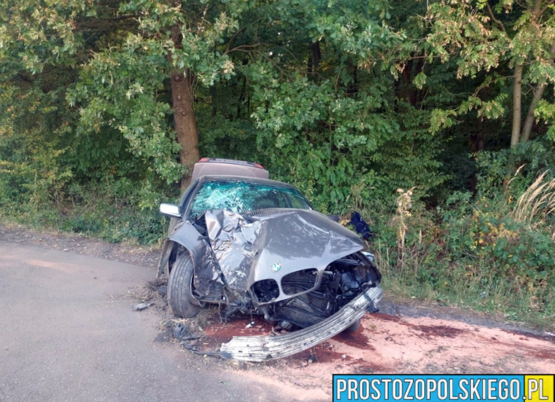 [ZDJĘCIA] BMW uderzyło w drzewo w Kamionku. Kierowca trafił pod opiekę ratowników