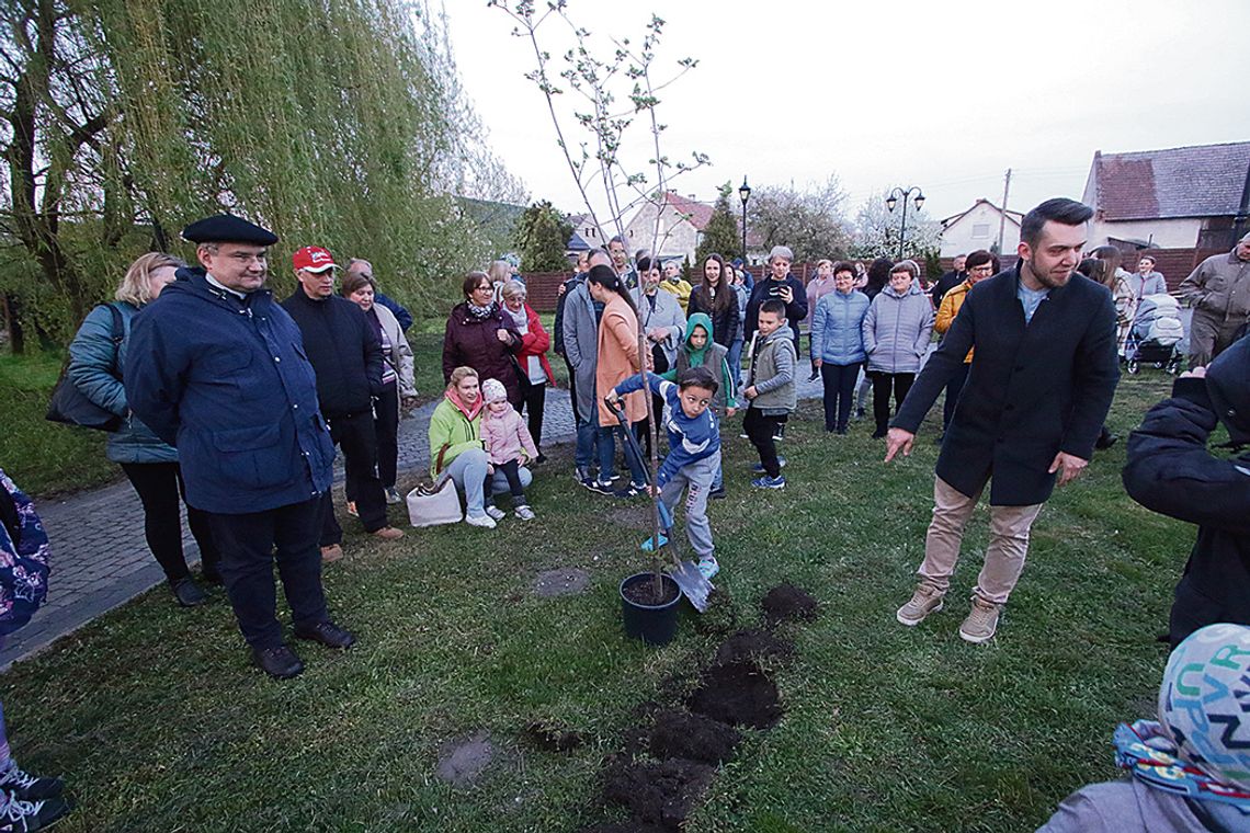 [Zdjęcia] Lasery, fontanny i drzewo przyjaźni