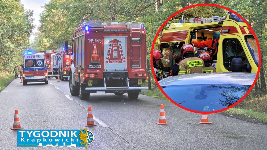 [ZDJĘCIA] Wypadek na DW 423 – droga zablokowana