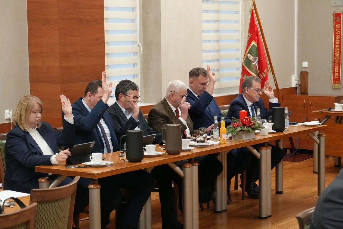 Zwiększają środki na opiekę Wolno żyjący kot objęty opieką weterynaryjną w ramach programu opieki nad zwierzętami w gminie Gogolin