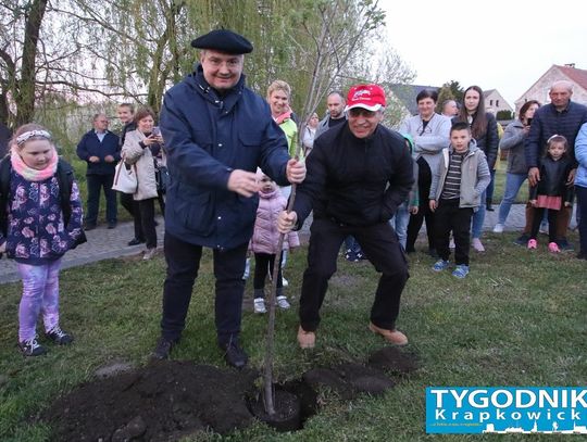 Lasery, fontanny i drzewo przyjaźni