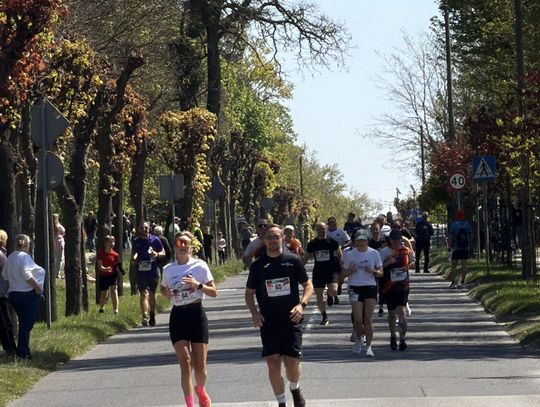 Zawodnicy biegu ulicznego na trasie w Krapkowicach podczas 42. edycji imprezy z dopingiem kibiców